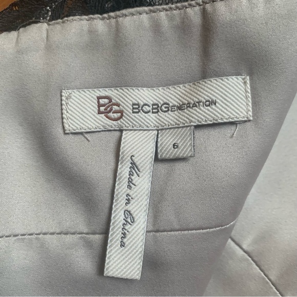 🌈 BCBG Lace Stripe Dress in Warm Grey | Size 6 - Picture 7 of 9